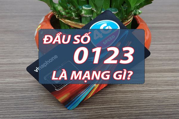 dau-so-0123-cua-mang-nao
